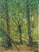 Vincent Van Gogh Trees and Undergrowth painting